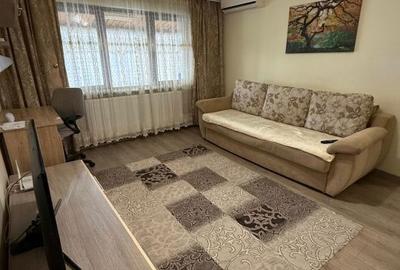 Apartament cu 2 camere semidecomandat în Rovine - 8