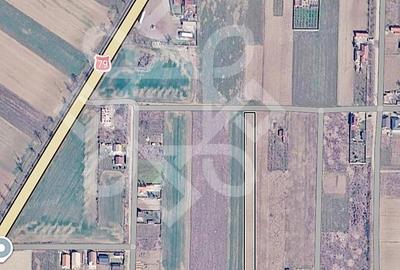 Teren de 3000 mp, în Gepiu