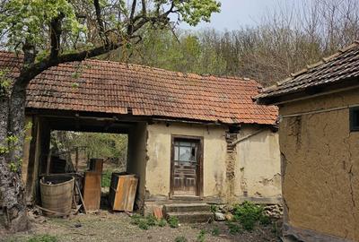 Casă cu 4 camere în Ciuntești - 3