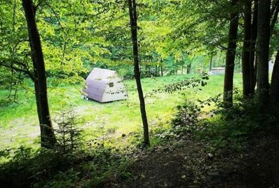 Teren intravilan de 3275 mp, în Tarcău