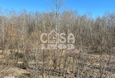 Teren de 6000 mp, în Petrești - 7