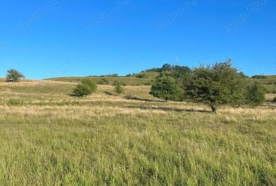 Teren de 2900 mp, în Roșia - 3