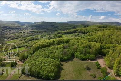 Teren Construcții intravilan de 13700 mp, în Săcădat - 4
