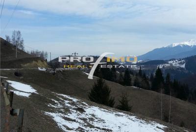 Teren de 3750 mp, în Moieciu - 3