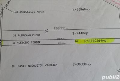 Teren de 3720 mp, în Domnești