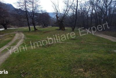 Teren de 3000 mp, în Corbeni - 4