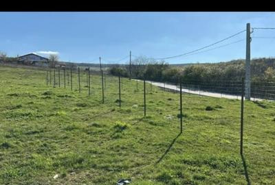 Teren de 680 mp, în Goruni