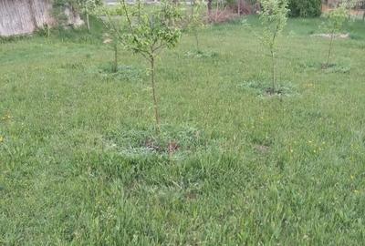 Teren de 1474 mp, în Sălciua - 10