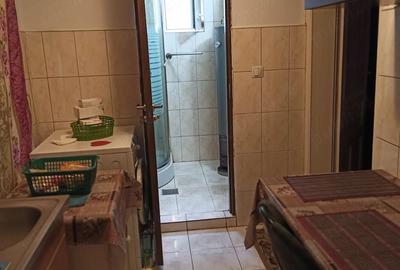 Casă cu 2 camere cu Teren 1800 Mp în Sighetu Marmației