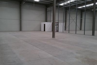 Spațiu industrial, de 1,000 mp, în Bradu - 2