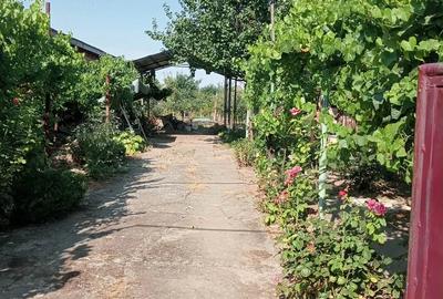 Casă cu Teren 150 Mp în Checea