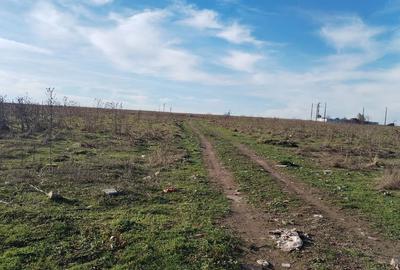 Teren de 440 mp, în Central