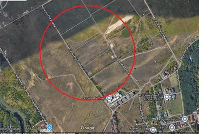Teren de 19000 mp, în Băneasa
