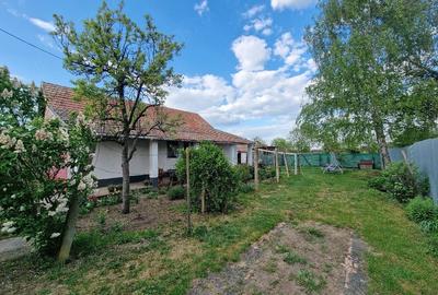 Casă cu 2 camere cu Teren 2700 Mp în Central - 5