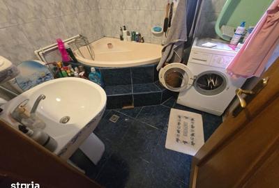 Casă cu 9 camere cu Teren 1295 Mp în Craiovei - 4