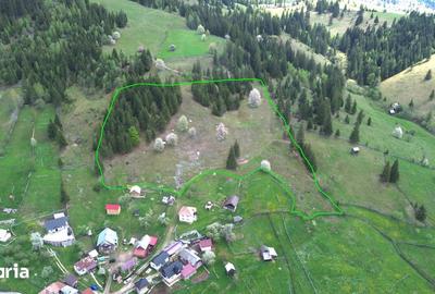 Teren de 22959 mp, în Sadova - 5