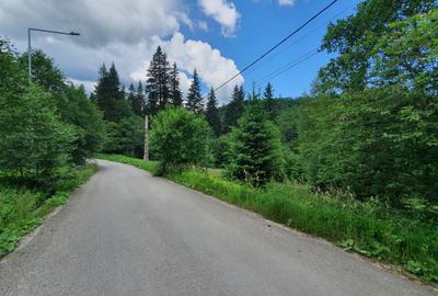 Teren Construcții intravilan de 745 mp, în Central - 1