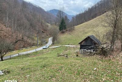 Teren de 12877 mp, în Bulz - 5