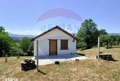 Casă cu 1 camere cu Teren 3177 Mp în Giulești - 13