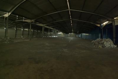 Spațiu industrial, de 11,600 mp, în Plopșoru - 12