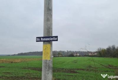Teren de 3000 mp, în Brănești - 6