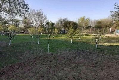 Casă cu 8 camere cu Teren 2529 Mp în Bolintin-Deal - 1