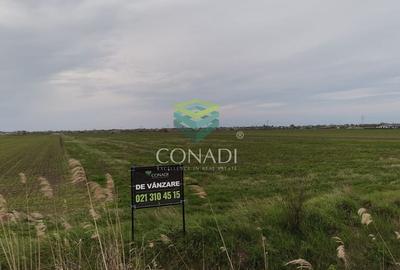 Teren Construcții intravilan de 535 mp, în Tărtășești