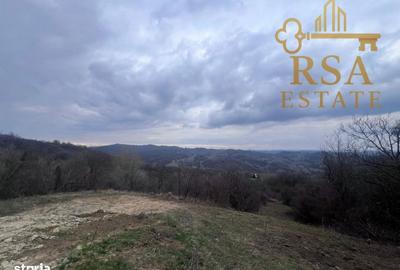 Teren de 2500 mp, în Goranu - 4