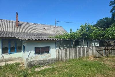 Casă cu Teren 3000 Mp în Dăeni - 8