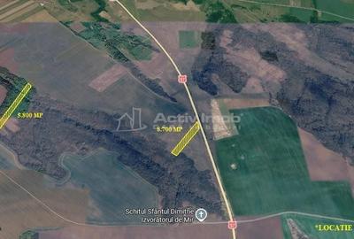 Teren de 14500 mp, în Cara