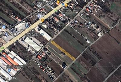 Teren Construcții intravilan de 2409 mp, în Afumați - 8
