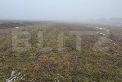 Teren de 2500 mp, în Central
