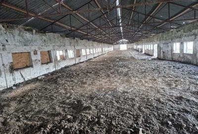 Teren de 15000 mp, în Cămărașu - 8