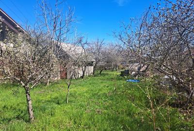 Teren Construcții intravilan în Est - 2