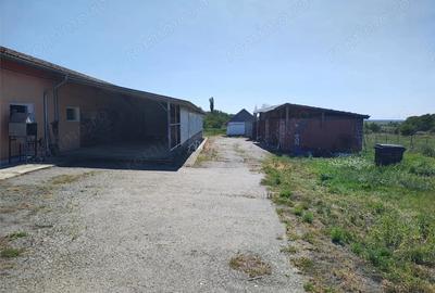 Spațiu comercial, de 972 mp, în Mișca - 1