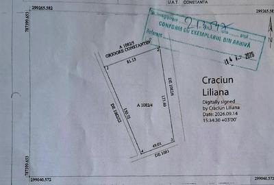 Teren de 8500 mp, în Viile Noi
