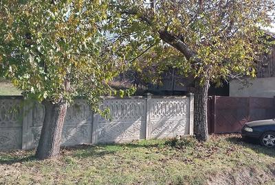 Casă cu 3 camere cu Teren 3000 Mp în Drăguțești
