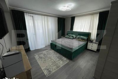 Apartament cu 2 camere, mobilat în Cornitoiu - 11