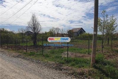Teren Construcții intravilan de 854 mp, în Mogoșoaia - 4