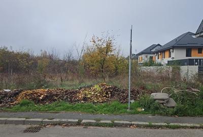 Teren Construcții intravilan de 9931 mp, în Odăi - 2