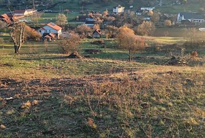Teren de 5745 mp, în Luncoiu de Jos - 3