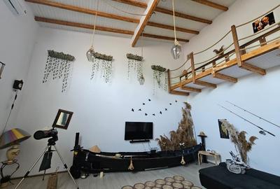 Casă individuală cu 3 camere cu Teren 1260 Mp în Crișan - 6