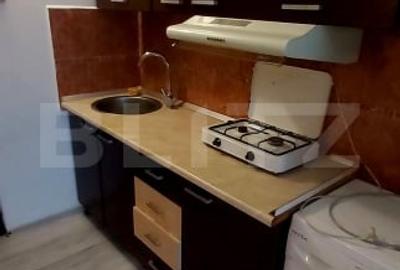 Garsonieră decomandată, mobilată în Lucian Blaga