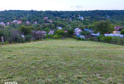 Teren de 2000 mp, în Bucovăț - 3