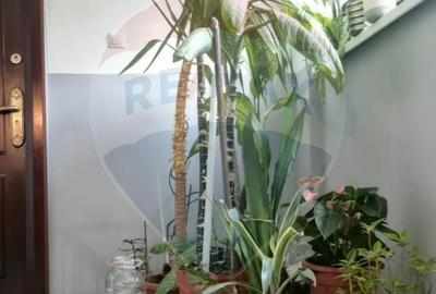 Apartament cu 3 camere semidecomandat în Sud - 4