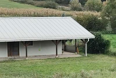 Casă cu 2 camere în Corușu - 2