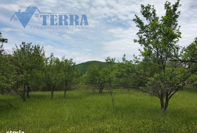 Casă cu 4 camere în Rădești - 7