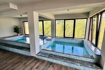 Casă individuală cu 12 camere cu Canalizare în Borșa - 1
