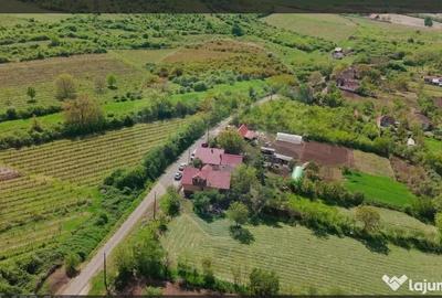 Teren în Șiria - 3