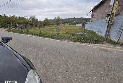 Teren de 1725 mp, în Ciurea - 4